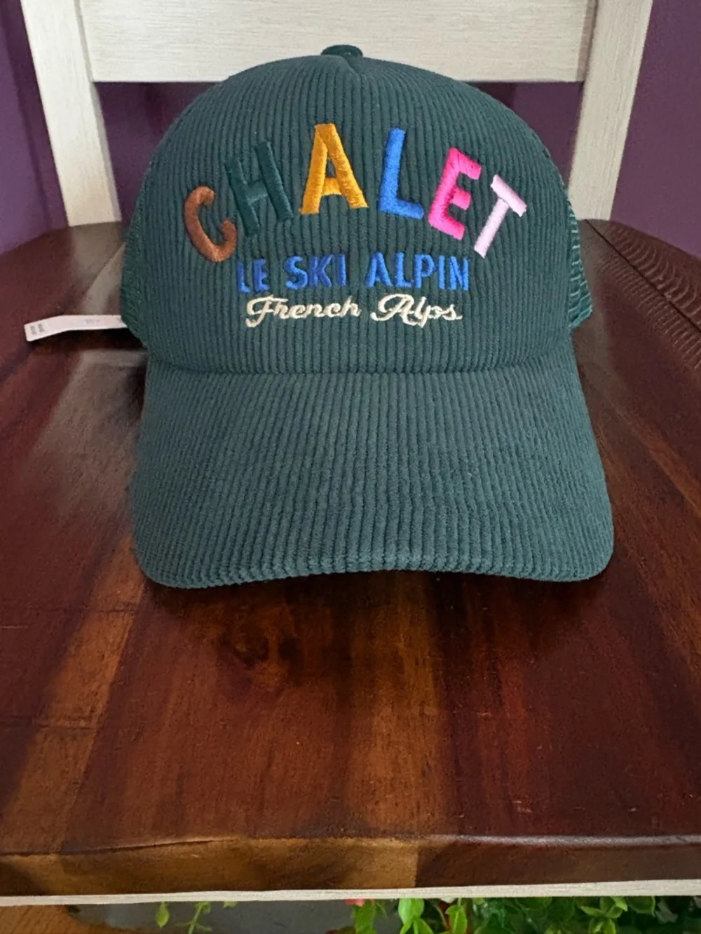 NWT-Anthropologie Chalet Dark Green Mesh Trucker Hat - Picture 2 of 7